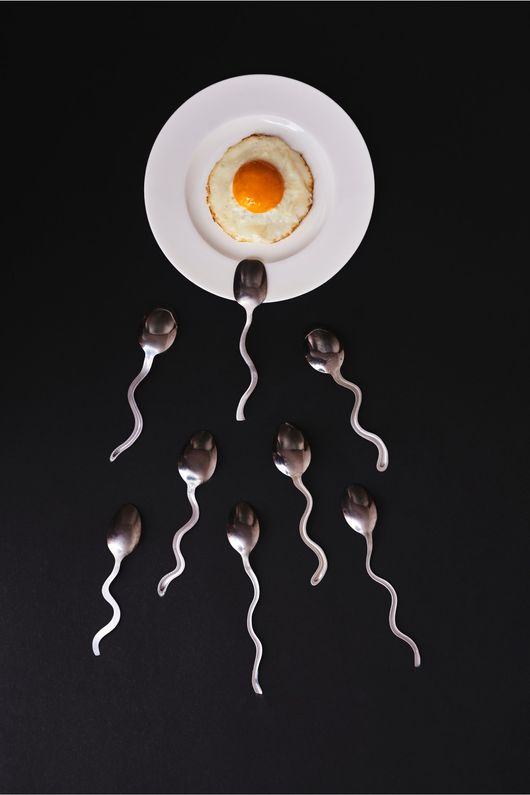 Spermien und ein Ei